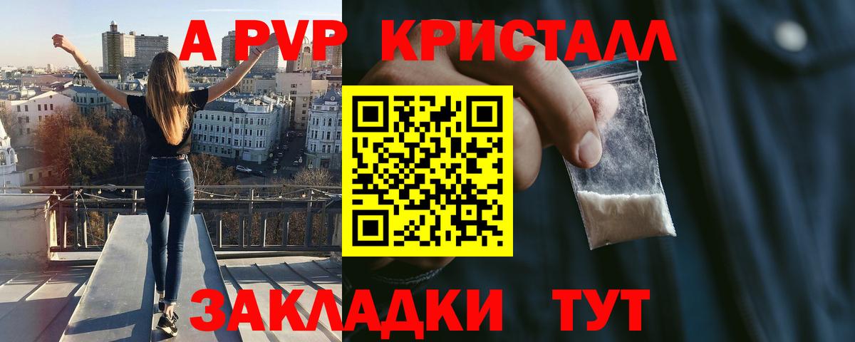 Альфа ПВП СК Владикавказ