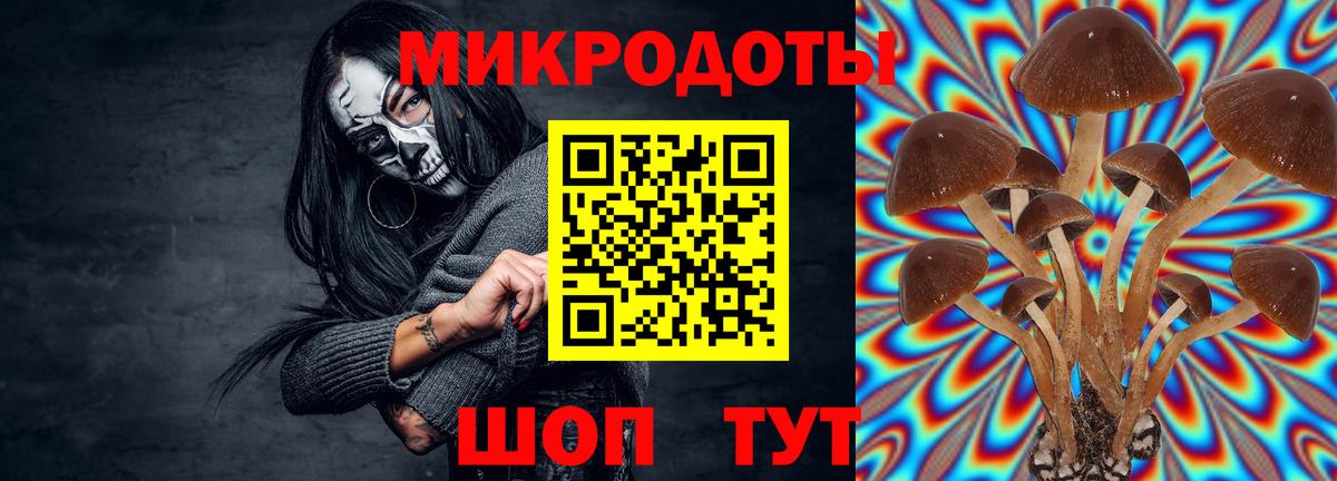 Галлюциногенные грибы MAGIC MUSHROOMS  Вход с VPN  Владикавказ  Галлюциногенные грибы Cubensis 
